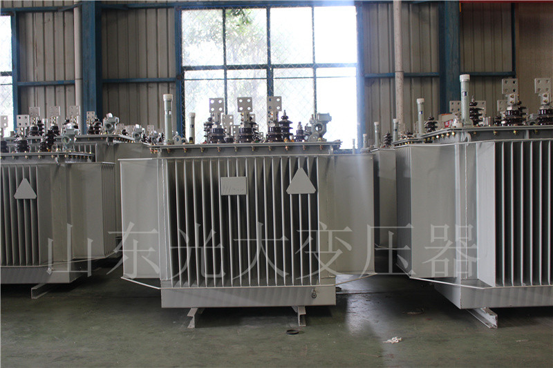 大渡口S20-500KVA/10KV